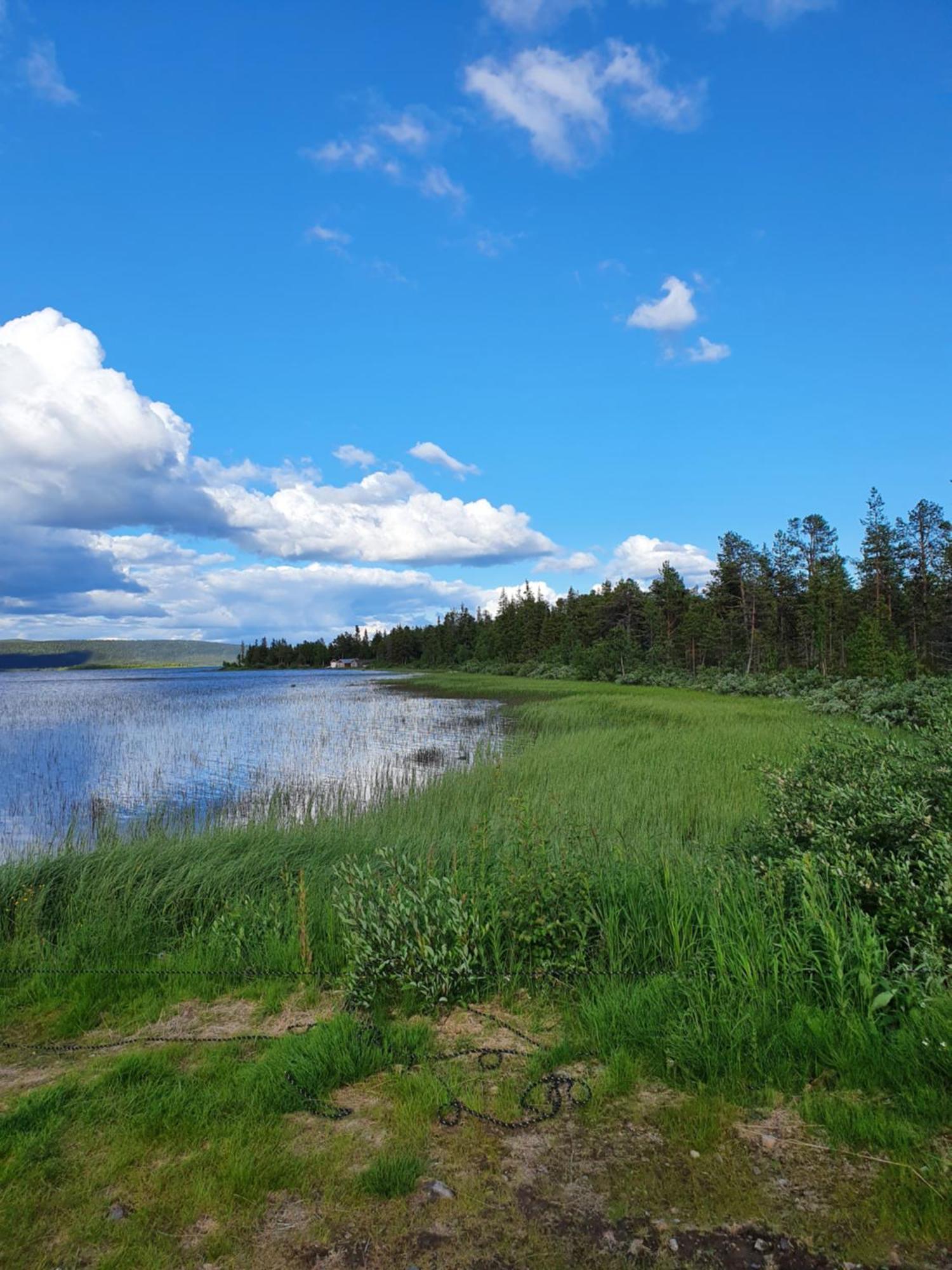 Camp Caroli Wooden Cabins Jukkasjärvi Dış mekan fotoğraf