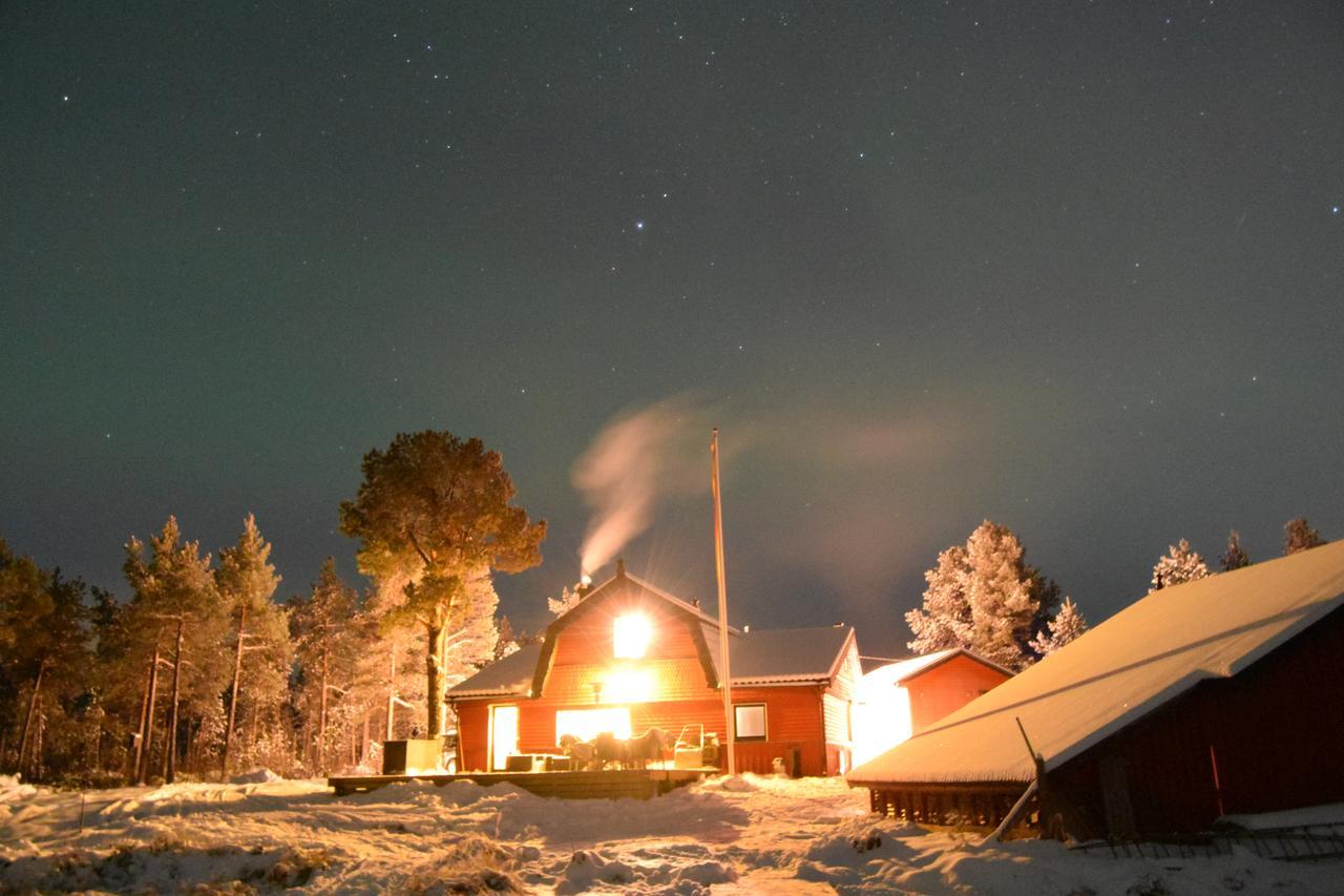 Camp Caroli Wooden Cabins Jukkasjärvi Dış mekan fotoğraf